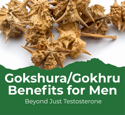 Gokshura Gokhru Benefits for Men