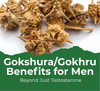 Gokshura Gokhru Benefits for Men