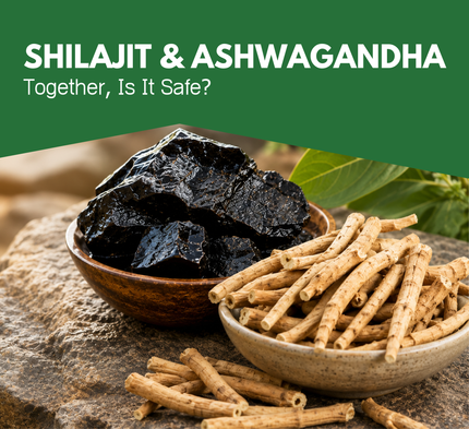 Shilajit and Ashwagandha Together