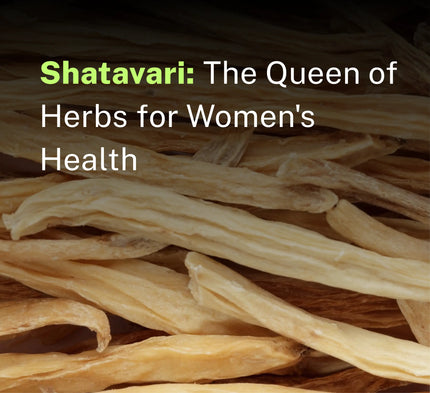Shatavari: The Queen of Herbs for Women's Health (Complete Guide)