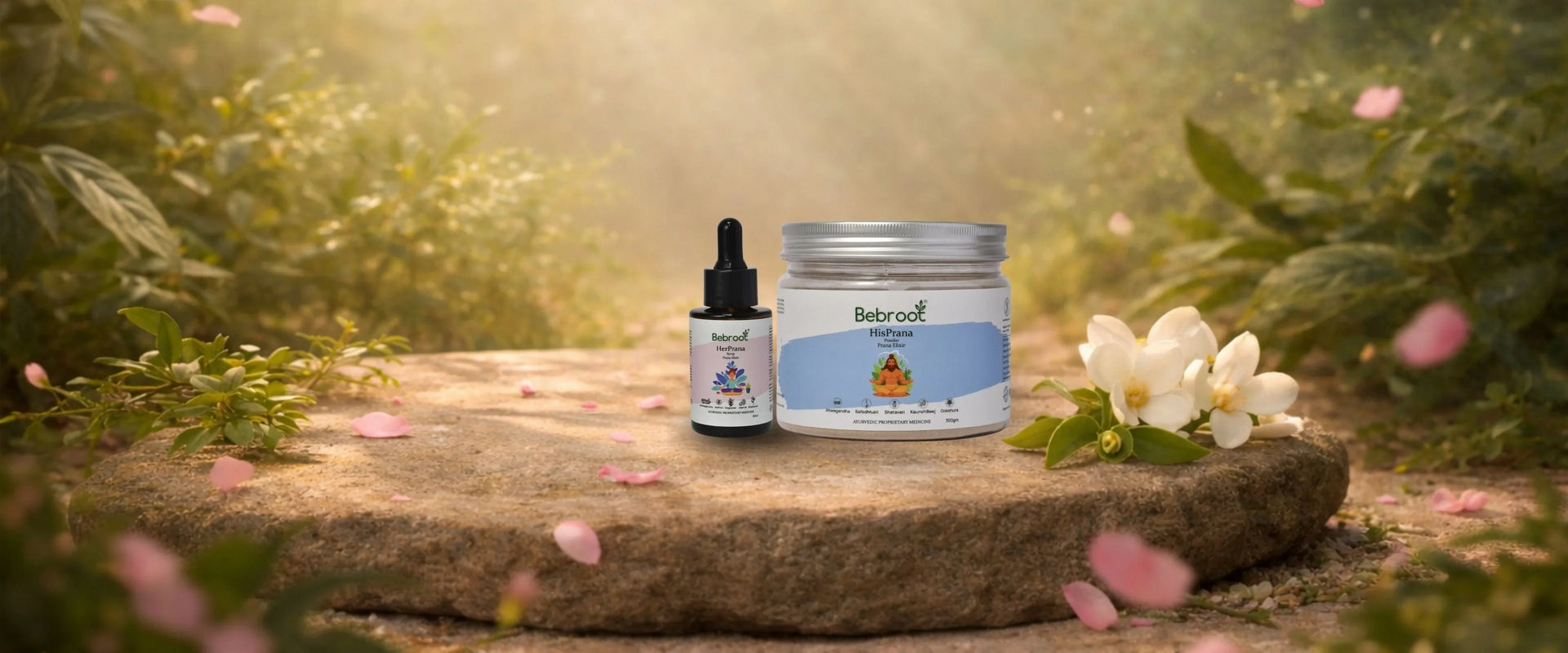 Bebroot best energy supplement India – Hisprana and Herprana