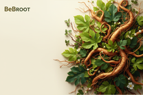 full slider image for beroot