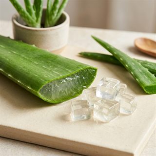 Aloe Vera Extract