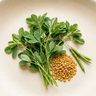Fenugreek Lf.